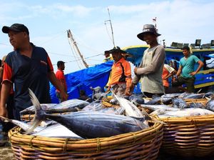 Nelayan Ingin Dapat Bantuan Kapal dari Susi, Begini Caranya