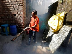 Januari-Maret, 17 Pasien Demam Berdarah Dengue Meninggal di Jateng