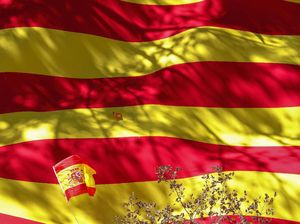Perusahaan Keamanan di Spanyol Diperiksa Gegara Intai Eks Presiden Ekuador Perusahaan Keamanan di Spanyol Diperiksa Gegara Intai Eks Presiden Ekuador