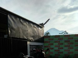 Yamaha NMAX Penunggu Gunung Sindoro