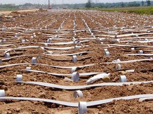 Pembebasan Lahan Tol Trans Jawa dan Sumatera Ditarget Rampung Bulan Ini