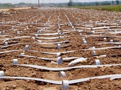 Pembebasan Lahan Tol Trans Jawa dan Sumatera Ditarget Rampung Bulan Ini