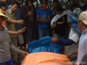 Satu Korban Banjir Bandang di Probolinggo Kembali Ditemukan Satu Korban Banjir Bandang di Probolinggo Kembali Ditemukan