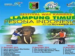 Mau Lihat Gajah Main Bola? Yuk ke Festival Way Kambas