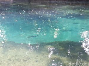 Ini Beragam Kisah Gaib di Sumber Mata Air Jenon Malang Ini Beragam Kisah Gaib di Sumber Mata Air Jenon Malang