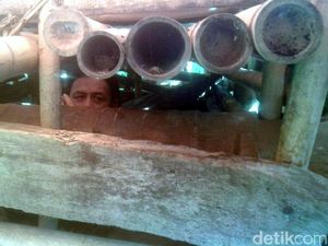 Pasukan Teman Orang Gila Pernah Bujuk Dirman Keluar Kandang Pasukan Teman Orang Gila Pernah Bujuk Dirman Keluar Kandang