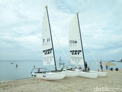 Cara Nikmati Pantai Pulau Bintan: Sailing Board