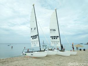 Cara Nikmati Pantai Pulau Bintan: Sailing Board Cara Nikmati Pantai Pulau Bintan: Sailing Board