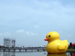 Kuasa Hukum Klaim Proyek Meikarta Dimanfaatkan Vendor Fiktif