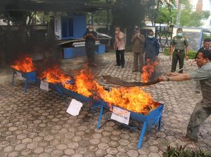 Kosmetik Ilegal Senilai Rp 2,7 Miliar Dimusnahkan BPOM Aceh