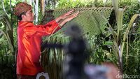 Foto: Jokowi Pasang Bleketepe untuk Pernikahan Kahiyang