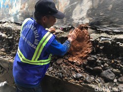 Tanggul Bocor yang Bikin Rumah Luar Batang Tergenang Disumbat Tanah