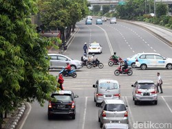 Penataan Sudirman-Thamrin, 541 Pohon Akan Dipindah