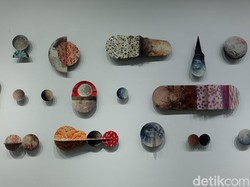 Uniknya Sel yang Dilihat dari Teleskop dan Mikroskop di Karya Radhinal Indra