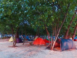 Seru! Camping Ceria di Tepi Pantai
