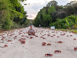 Fakta-fakta Pulau Christmas Australia yang Nol Kasus Corona