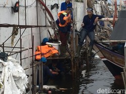 Nyebur ke Laut demi Tutup Lubang Tanggul di Luar Batang