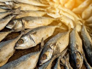 Sarapan dengan Menu Ikan Asin, Tingkatkan Risiko Kanker Nasofaring? Sarapan dengan Menu Ikan Asin, Tingkatkan Risiko Kanker Nasofaring?