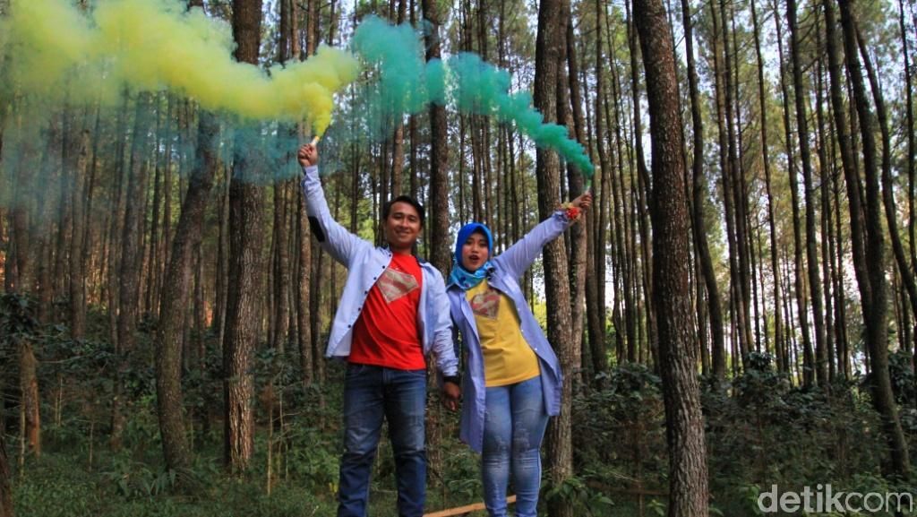 Foto: Bandung Punya Hutan yang Romantis