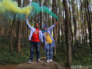 Foto: Bandung Punya Hutan yang Romantis