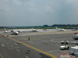 11 Pesawat Carter Mendarat di Bandara Solo Saat Pernikahan Kahiyang