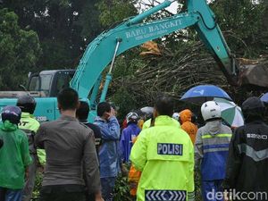 Alat Berat Dikerahkan untuk Evakuasi Pohon Tumbang di Banjarnegara Alat Berat Dikerahkan untuk Evakuasi Pohon Tumbang di Banjarnegara