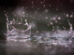 Momen Bahagia Saat Hujan Guyur Dua Kabupaten di Jambi