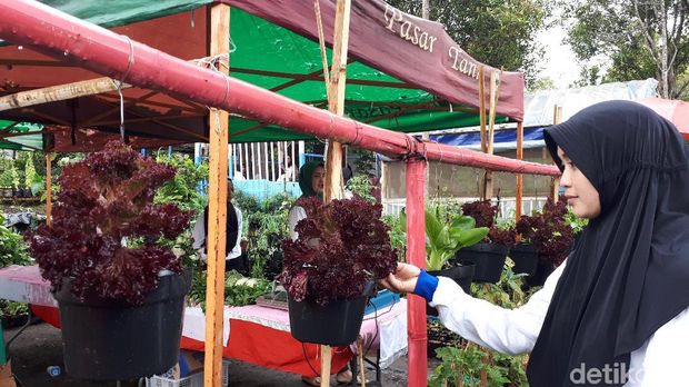 Kelompok wanita tani