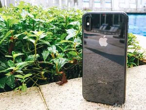 Kamera iPhone Lebih Jadi Andalan Ketimbang Canon dan Nikon Kamera iPhone Lebih Jadi Andalan Ketimbang Canon dan Nikon