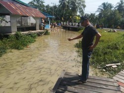 Heboh Muncul Hewan Misterius Mirip Lintah di Sungai Kalbar