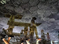 Reflection After Rain