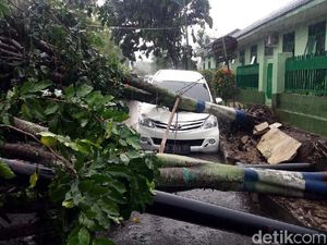 Pohon Tumbang Juga Timpa Mobil di Banjarnegara Pohon Tumbang Juga Timpa Mobil di Banjarnegara