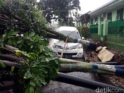 Pohon Tumbang Juga Timpa Mobil di Banjarnegara