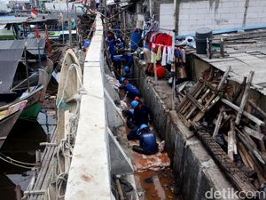 Cegah Banjir di Luar Batang, DKI Lakukan Betonisasi Tanggul Cegah Banjir di Luar Batang, DKI Lakukan Betonisasi Tanggul