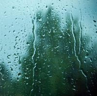 Fototostop: November Rain