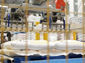 Mengintip Pabrik Tepung Terigu Modern di Indonesia