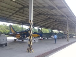 Pesawat Terganggu Burung, Ini Kerugian Lanud Iswahyudi