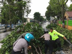 Tak Hanya Pohon Tumbang, Atap Rumah Juga Rusak di Banjarnegara