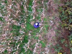 Nenek Tersesat Ditemukan dengan Drone, Ini Videonya