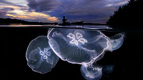 Terpukau Keindahan Dua Dunia dalam Bidikan Kamera