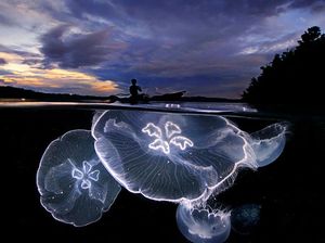 Terpukau Keindahan Dua Dunia dalam Bidikan Kamera