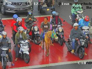 Ikut Tertib, Kuda di Bandung Ini Berhenti di Belakang Garis Setop