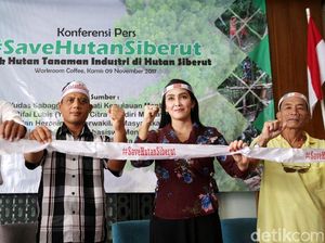Selamatkan Hutan Tropis Pulau Siberut