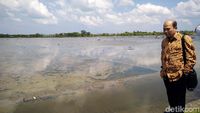 Mengintip Ladang Garam di Takalar Sulsel
