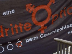 Pengadilan Jerman Putuskan Jenis Kelamin Ketiga Harus Diakui