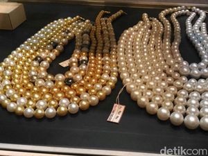 Kalung Mutiara Buatan Lombok Ini Dibanderol Rp 1 Miliar Kalung Mutiara Buatan Lombok Ini Dibanderol Rp 1 Miliar