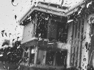 Up close with rain