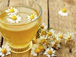 7 Racikan Teh Ini Bisa Bantu Turunkan Berat Badan 7 Racikan Teh Ini Bisa Bantu Turunkan Berat Badan