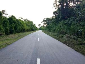 Hore, Ada Trans Papua Bawa Hasil Bumi Tak Perlu Naik Pesawat Hore, Ada Trans Papua Bawa Hasil Bumi Tak Perlu Naik Pesawat
