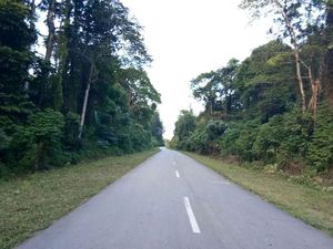 Ada Trans Papua,Timika-Wamena Tak Perlu Lagi Pakai Pesawat Ada Trans Papua,Timika-Wamena Tak Perlu Lagi Pakai Pesawat